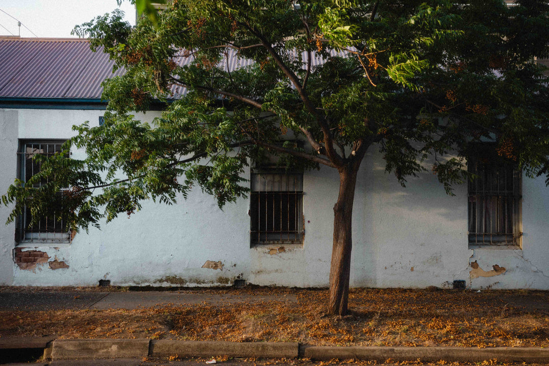 Five Miles From Home