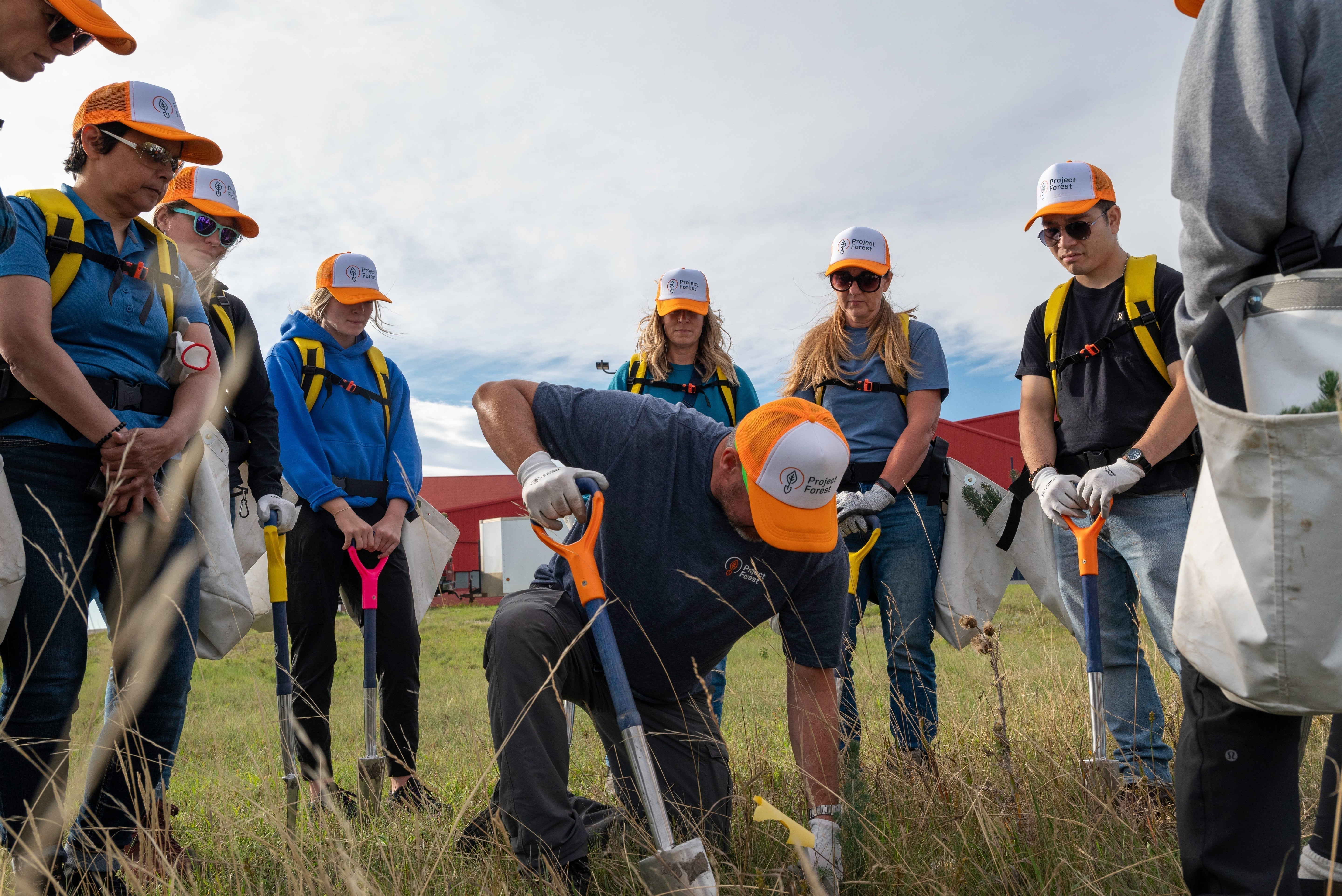 We're rewilding Canada with Project Forest!