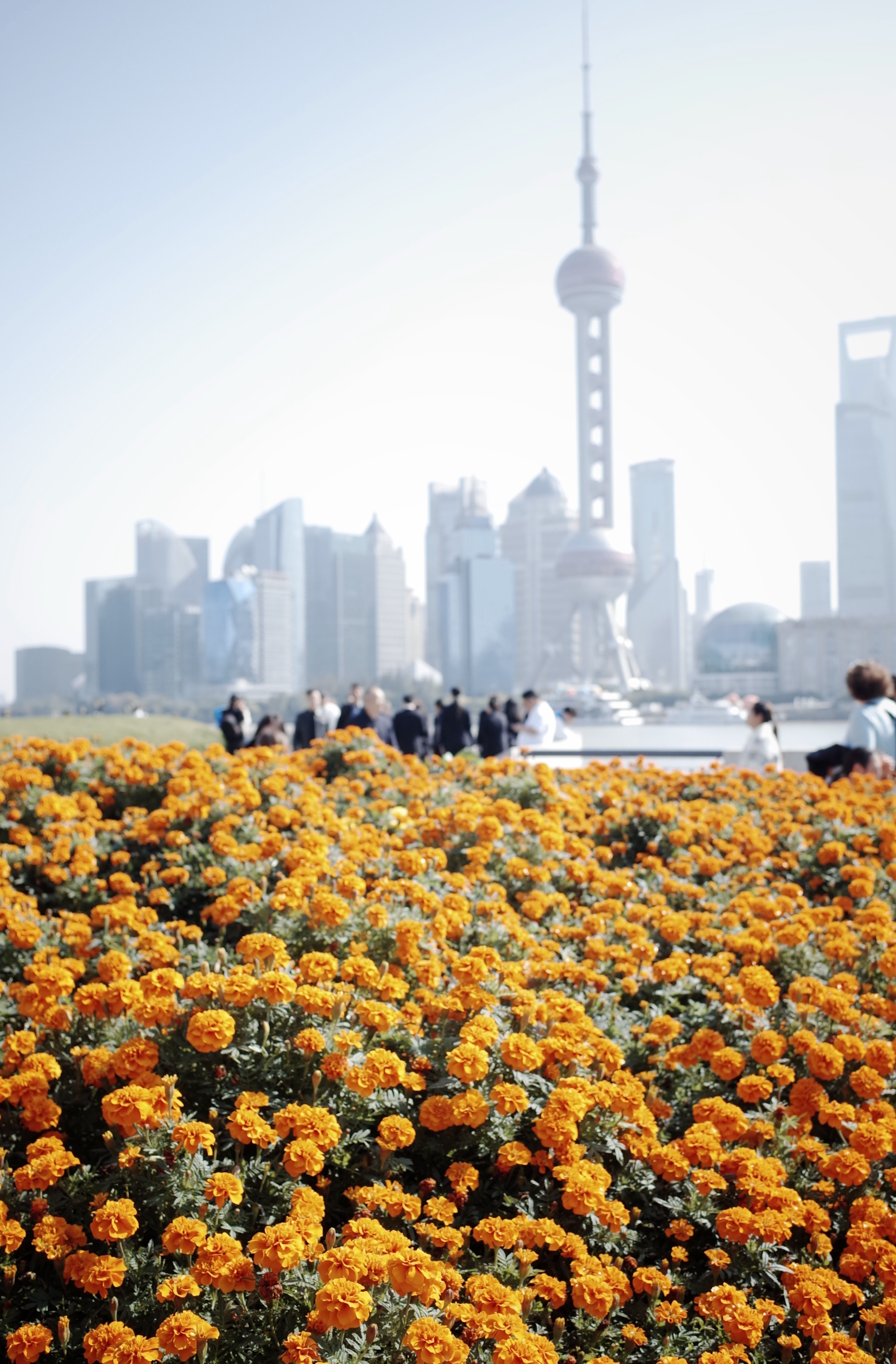 Shanghai: A Father's Travel Guide