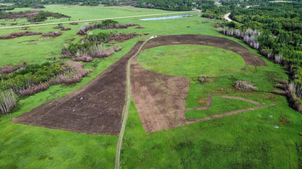 Let's rewild Canada with Project Forest