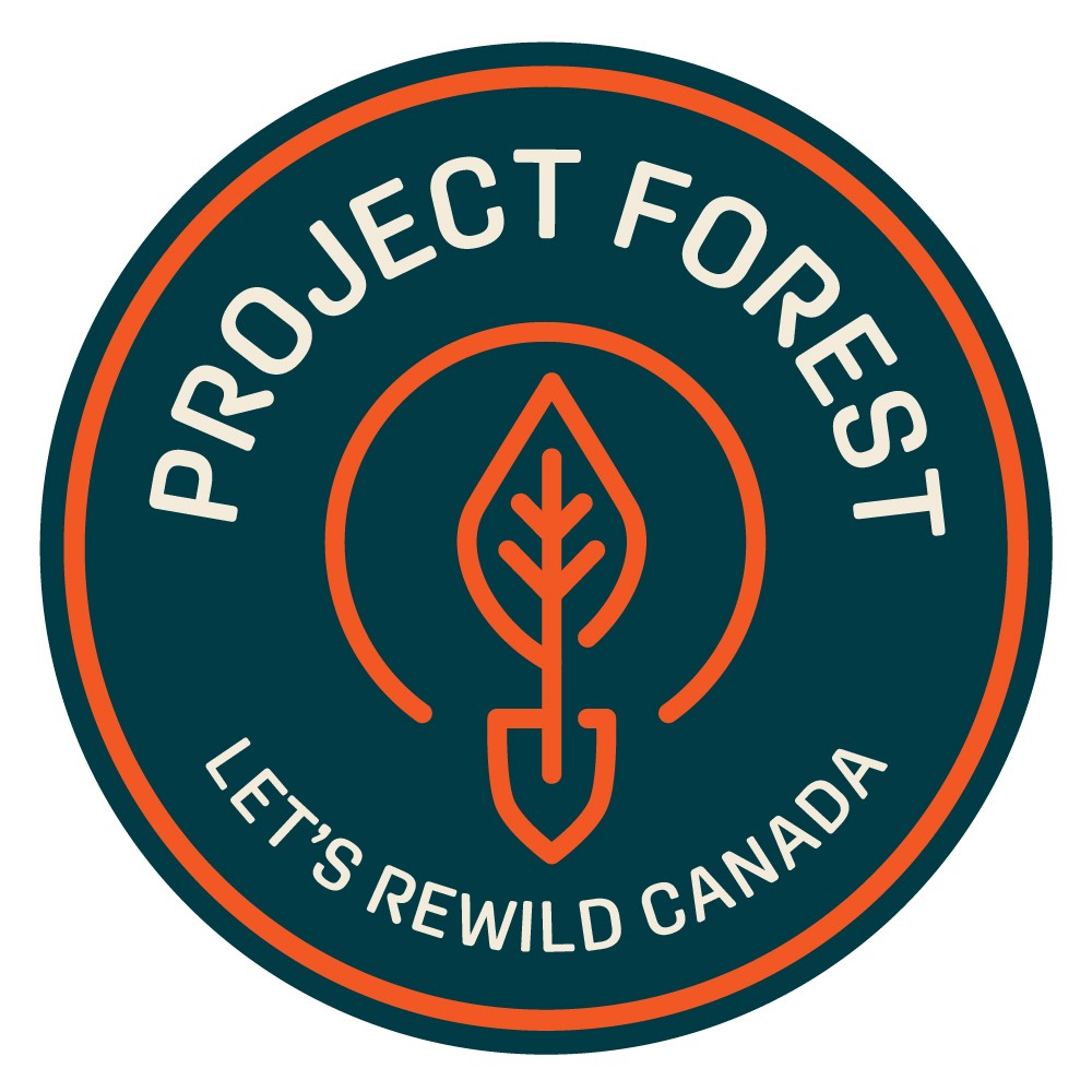 Project Forest 2" Velcro Patch